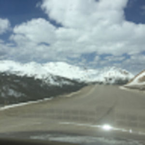 Meet your Posher, Roy